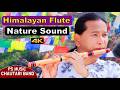 Himalayan Flute Music | Relaxing | Bansuri Dhun | Beautiful Nature Sound | Instrumental Flute Music