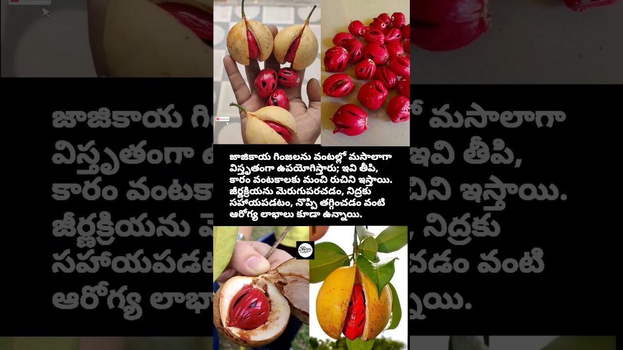 fruits and seeds uses and benefits 