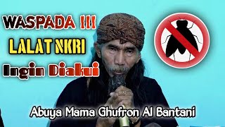 BEWARE!!! THE NKRI FLY WANTS TO BE RECOGNIZED | Abuya Mama Ghufron Al Bantani