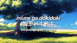 mune ga dokidoki -↑THE HIGH-LOWS↓ [romaji/japanese/english lyrics] | 胸がドキドキ - ザ・ハイロウズ