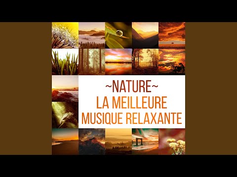 Surmonter la dépression