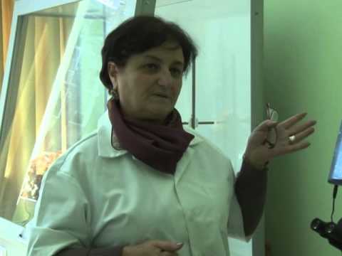 თელავის მუნიციპალიტეტში ნიადაგის ბაქტერიოლოგიური კვლევა უფასოდ ჩატარდება