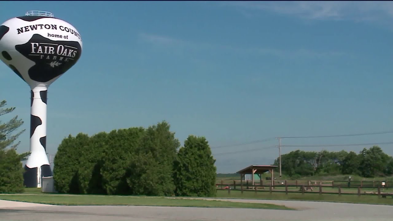 videos for cats Group releases more undercover video showing animal abuse at Fair Oaks Farm