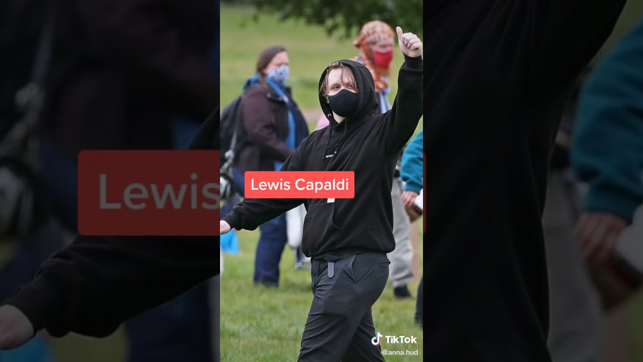 Celebrities Who Support Black Lives Matter TikTok: anna.hud