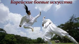 Корейские боевые искусства, какие стили и искусства использовались в Южной Корее Корейские боевые искусства, какие стили и искусства использовались в Южной Корее