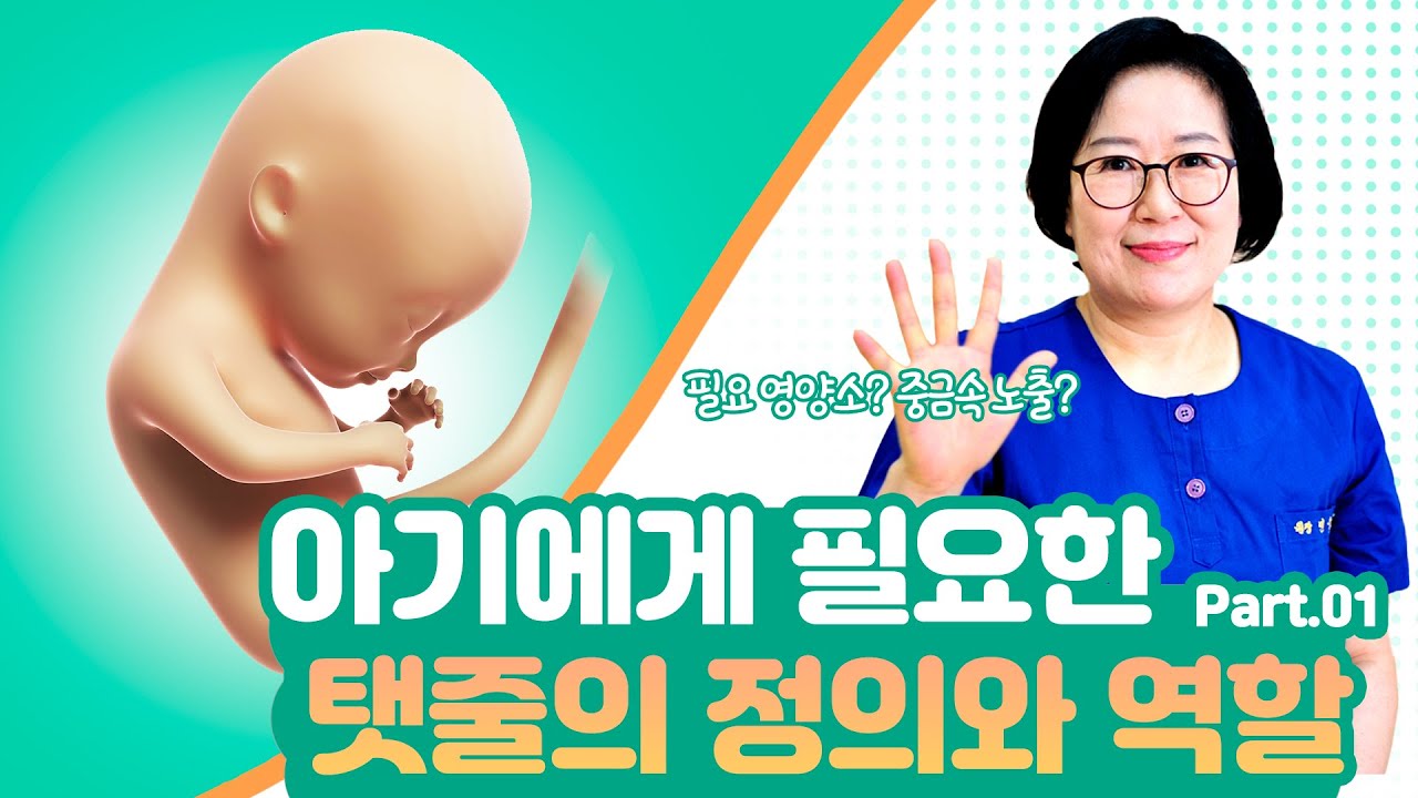 탯줄의 정의와 역할 1탄 - YouTube