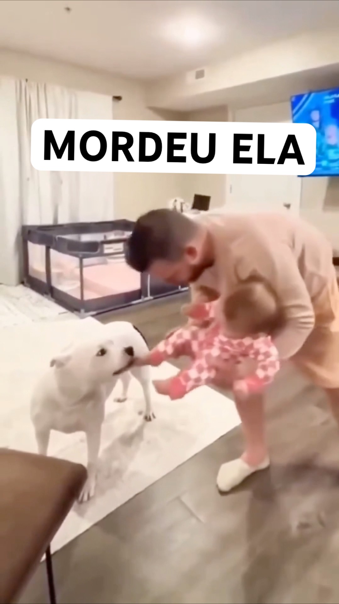 O CACHORRINHO BRINCANDO COM A BEBEZINHA #shorts ANIMAIS ENGRAÇADOS