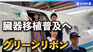 臓器移植普及に向け　国内で初めて航空機にグリーンリボン