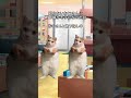 知らないおじさんと靴下を探した話です！ #vtuber #猫ミーム #memes