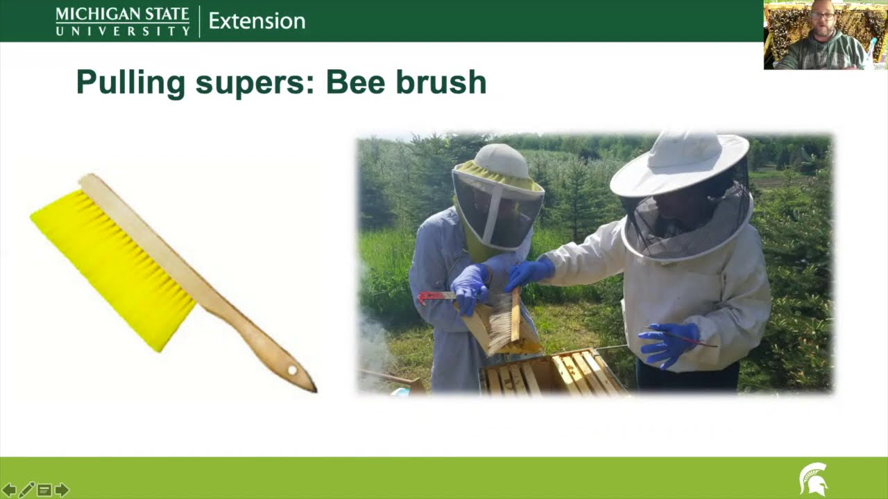 Lecture 21: Honey Extraction and Processing