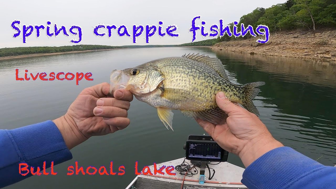 Spring crappie fishing Bull shoals lake 5423 livescope YouTube