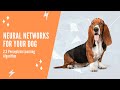 Neural Networks for Dogs: Perceptron Algorithm 🐶