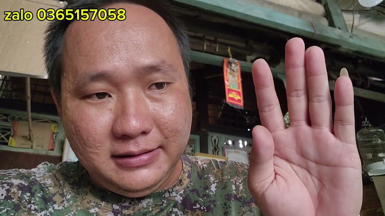 BẨY  CHIM SÂU ĐẦU ĐỎ VỀ  TẬP CHIM MỒI 