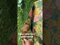 Cotton kurthi premium quality      Varaa Collections -6300745133 #music #viralvideo #sarees #kurti