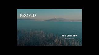 add provid
