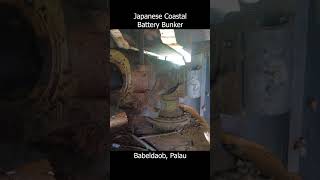 Japanese Coastal Battery #worldwarii #ww2history #wwii #ww2 #worldwar #worldwar2history  #worldwar2
