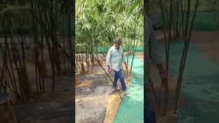 #nelliyampathy