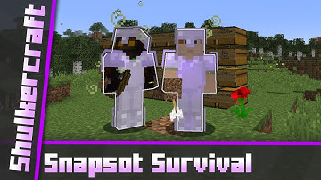 A new Server [ShulkerCraft] Minecraft 1.9 Snapshot Survival Server