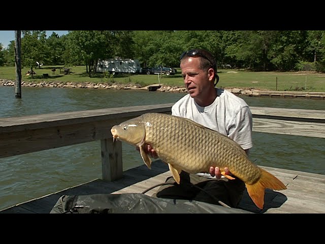 Catching Carp, The International Pursuit 