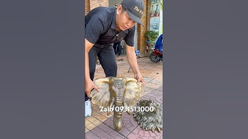 Đầu voi bằng đồng #đồcổcầnthơ #phongthuy #đồcổ