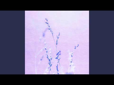 【5】 ekko 様 ♡smile flower♡ SEVENTEEN - 'SMILE FLOWER' (JAPANESE VER.) Lyrics [Color