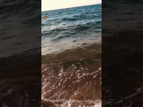 بحر فايد حوار بجد