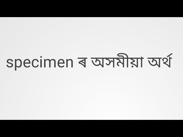 Stream meaning in Assamese/ Stream mane ki janibo paribo