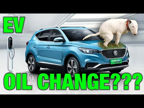 Car Dealers Are Doing EV Oil Changes Now. No, I'm Not Kidding.