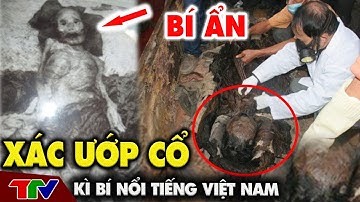 [ TÂM LINH RÙNG RỢN ] Bí ẩn 10 xác ướp cổ nổi tiếng của Việt Nam
