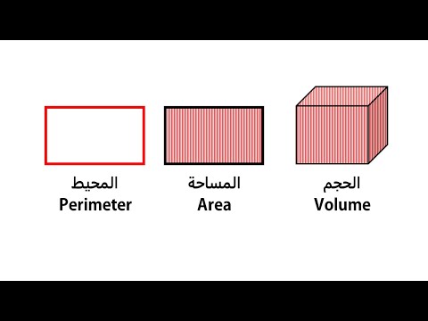 فيديو: ما الفرق بين مساحة السطح والمساحة الجانبية؟