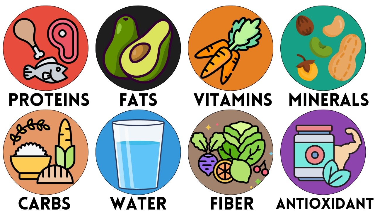 Every ESSENTIAL NUTRIENT You Need Explained Simply 