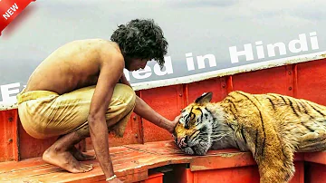 A Boy Becomes Friends with a Tiger because he Saved his Life. Explain in हिन्दी/اردو