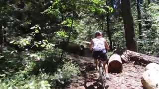 Nelder Grove, Yosemite MTB