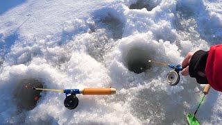 НАШЕЛ ЛОГОВО карася Рыбалка на поплавок ПОДВОДНАЯ СЪЕМКА зимой в 2022