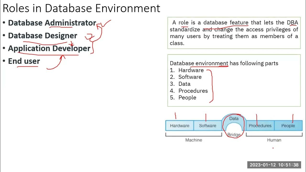 Traditional File based System, Roles in in Database Environment, ANSI ...