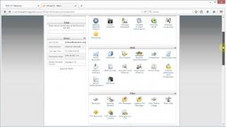 BUS 311 - Install WordPress