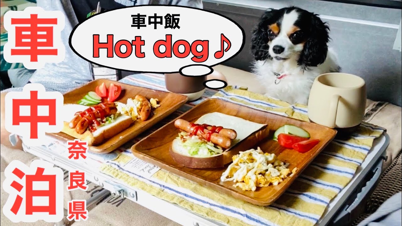 【車中泊】室生龍穴神社｜キャンピングカーでわんこと車中泊 ｜奈良県 ｜道の駅｜キャンピングカー ｜車中飯｜日本酒｜パワースポット