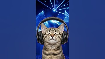 Starlight Gravity - SonicWave ☆彡 (Official Music Video) | AI Cinematic #popmusic #sonicwave #music