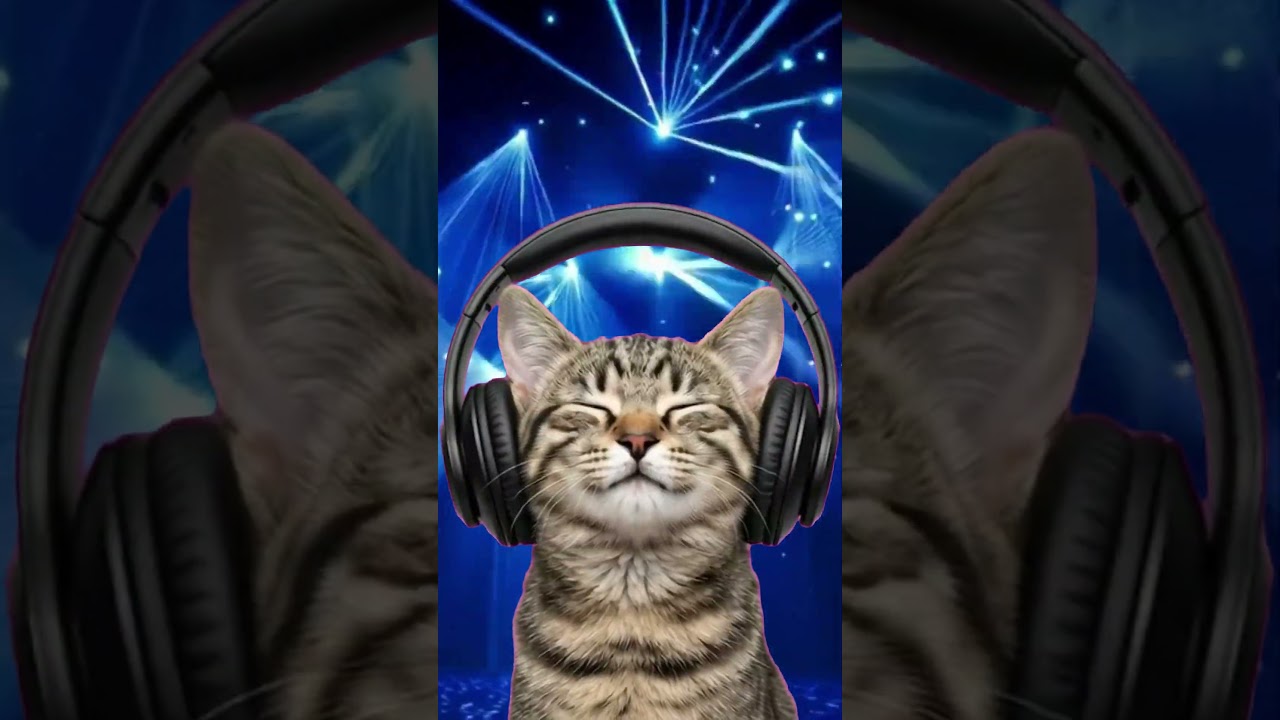 Starlight Gravity ✨ (Official Music Video) short - Hickory/Tabb Cat - SonicWave Upbeat Pop KPop edm