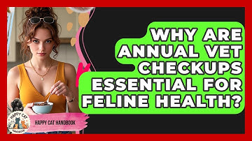 Why Are Annual Vet Checkups Essential For Feline Health? - Happy Cat Handbook
