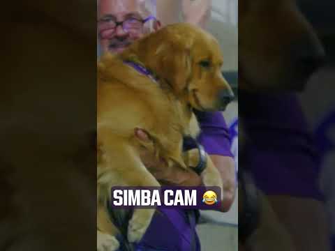 Simba Cam: Bark in the Park edition 🐶