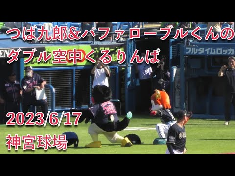 つば九郎&バファローブルくんのダブル空中くるりんぱ 2023/6/17