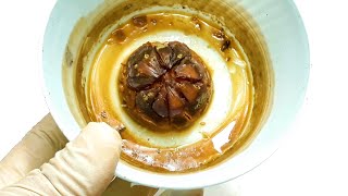 Luncheon Meat Time Lapse in Tea Worm Effect | 1 WEEK INSIDE 74
