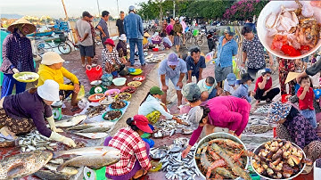 Tươi Ngon Hải Sản Lề Đường Phan Thiết | Chỉ 30k Bún Cá Mai Cô Hiền