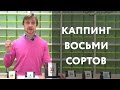 Каппинг восьми сортов кофе