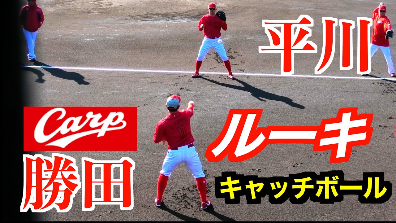 広島東洋カープ 平川蓮選手♯51 直筆サインボール 2026日南キャンプ