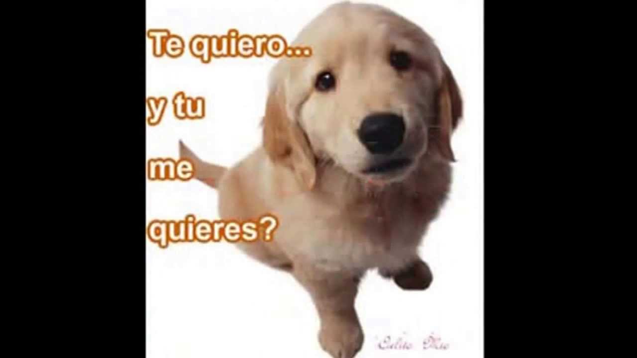 Zacarías Ferreira. te amo YouTube