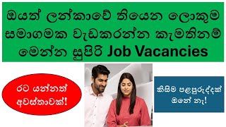 Sri Lanka Job Vacancies August 2024 | Latest Opportunities screenshot 2