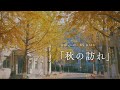 【Playlist】変わりゆく季節の流れに洋楽を🍂 | 作業用BGM | 勉強用BGM | Chill
