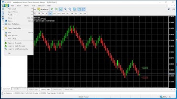 Installing the Renko SDK on Metatrader 5